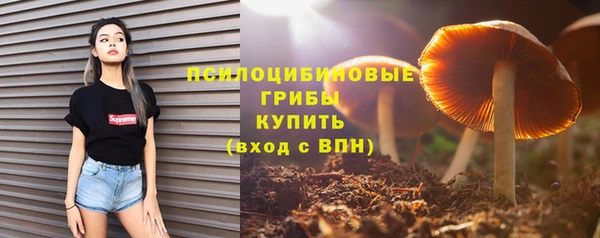 PSILOCYBIN Балахна